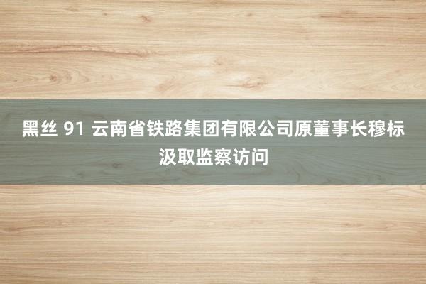 黑丝 91 云南省铁路集团有限公司原董事长穆标汲取监察访问