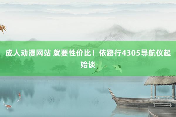 成人动漫网站 就要性价比！依路行4305导航仪起始谈