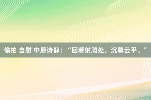 偷拍 自慰 中原诗醇：“回看射雕处，沉暮云平。”