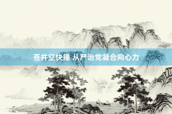 苍井空快播 从严治党凝合向心力