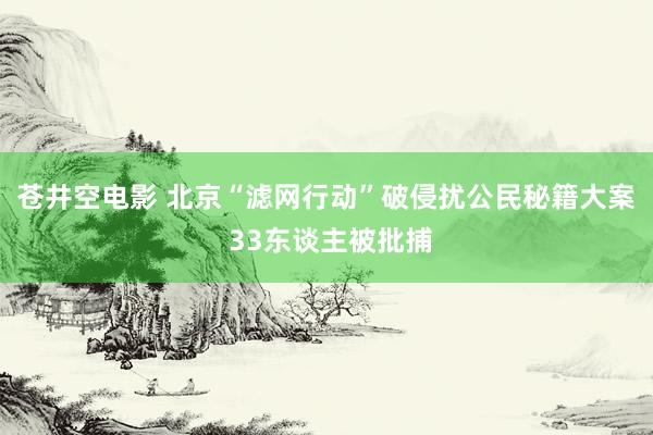 苍井空电影 北京“滤网行动”破侵扰公民秘籍大案 33东谈主被批捕