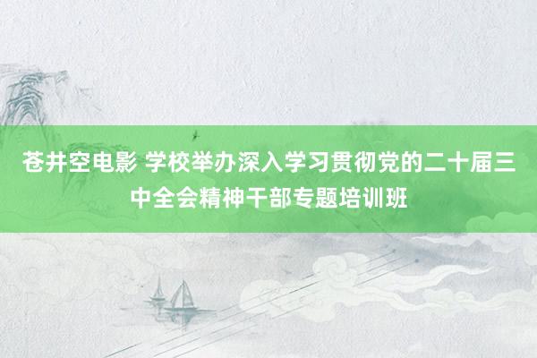 苍井空电影 学校举办深入学习贯彻党的二十届三中全会精神干部专题培训班