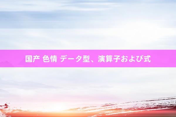 国产 色情 データ型、演算子および式