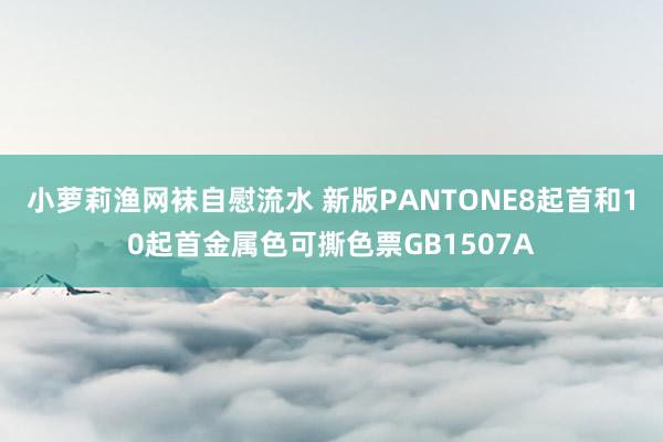 小萝莉渔网袜自慰流水 新版PANTONE8起首和10起首金属色可撕色票GB1507A