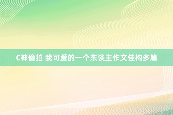 C神偷拍 我可爱的一个东谈主作文佳构多篇